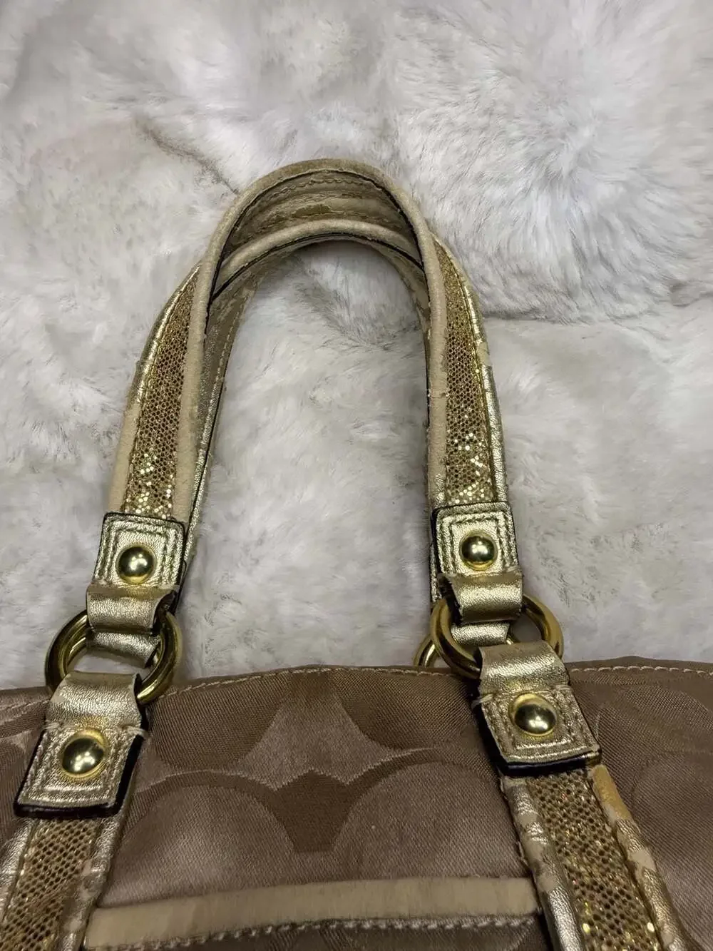 Coach Poppy Daisy Applique Spotlight Tote Bag F21101